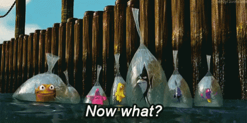 https://tenor.com/view/finding-nemo-bags-floating-stuck-now-what-gif-5473087